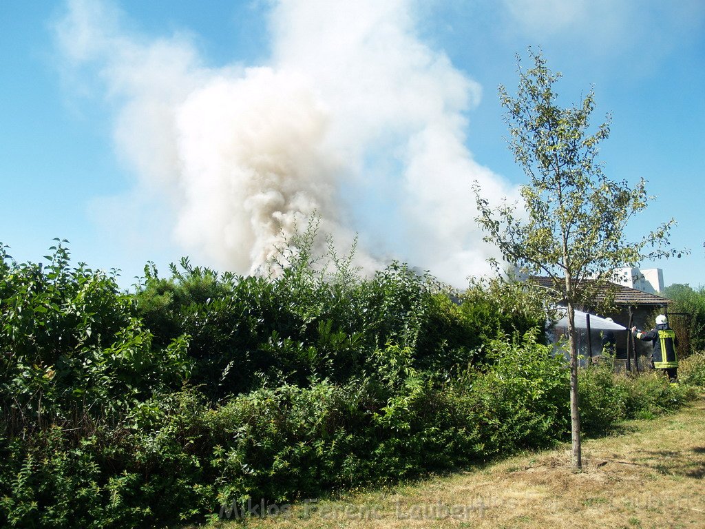 Gartenlaube in Vollbrand Koeln Poll Im Gremberger Waeldchen P047.JPG